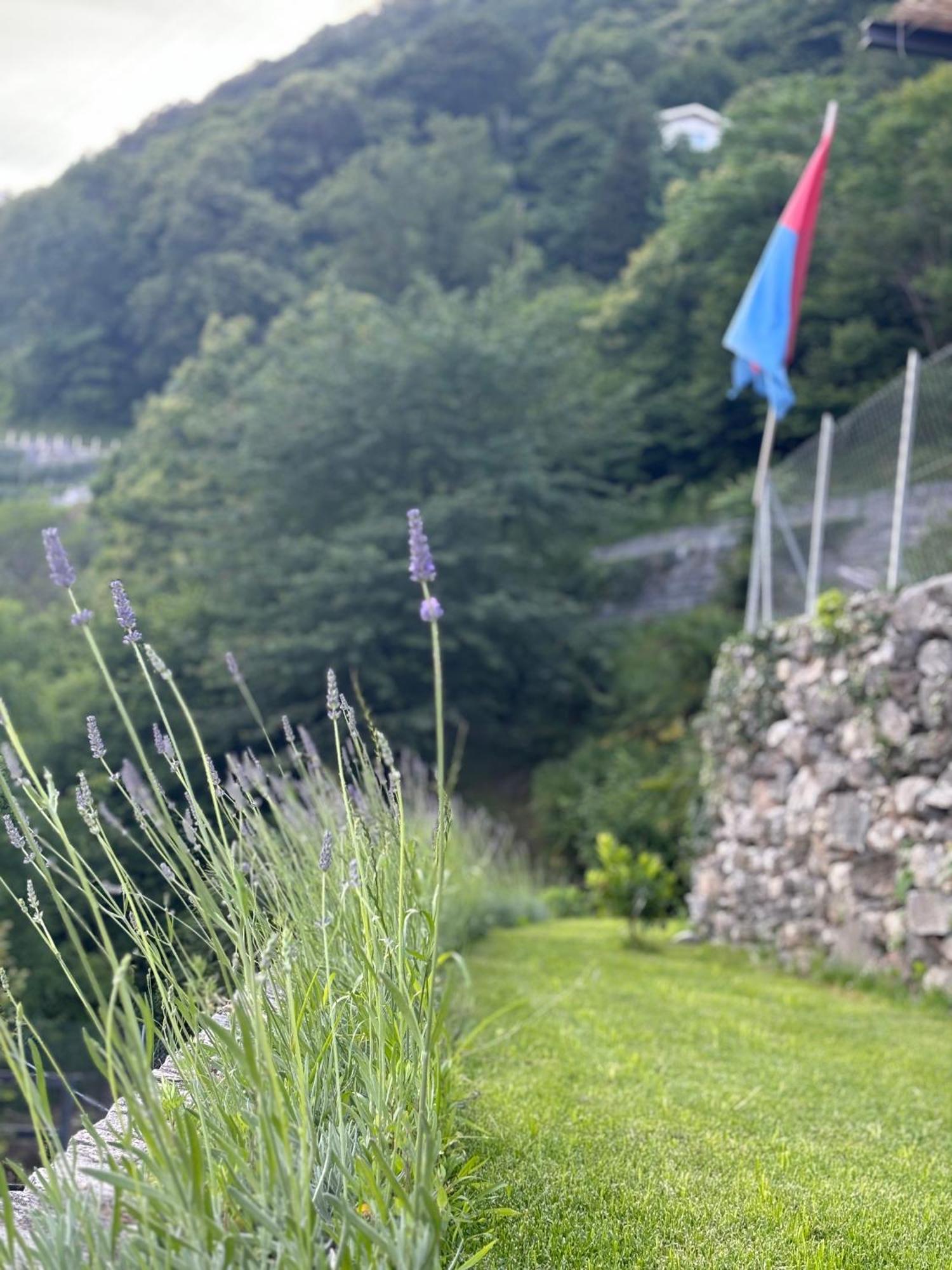 Ca'Gialla Kanton Kanton Bellinzona Exterior foto